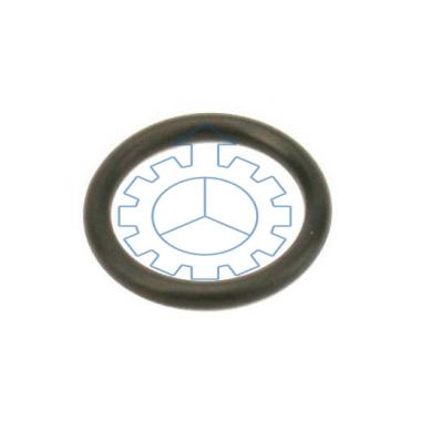 O-ring