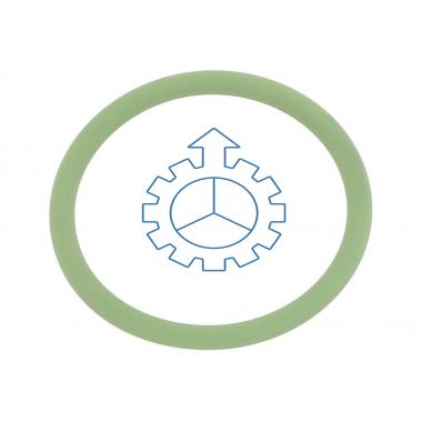 O-ring