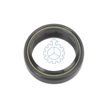 Oil Seal