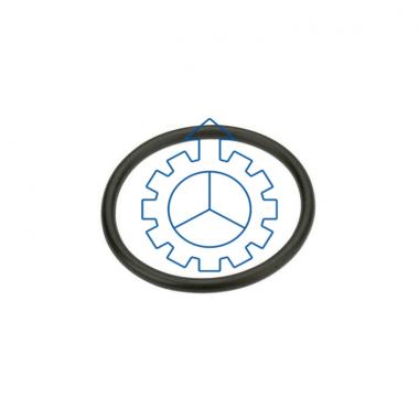 VOLVO O-ring