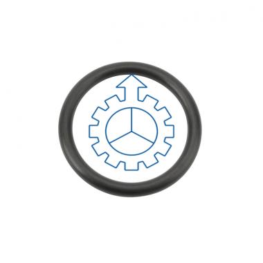 VOLVO O-ring