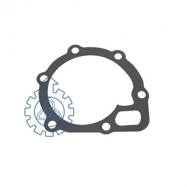 water pump gasket