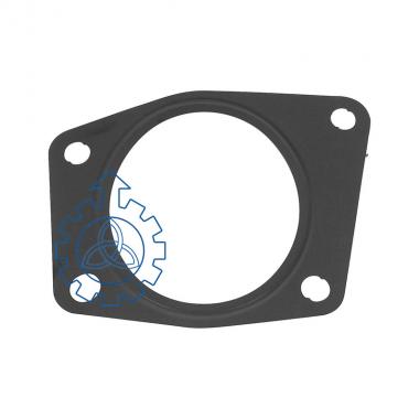 water pump gasket