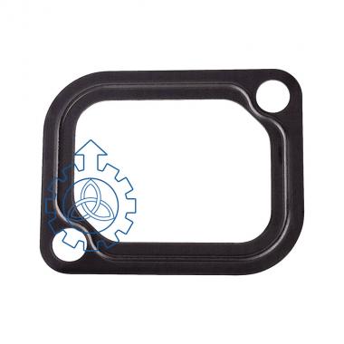 water pump gasket